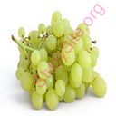 grape (Oops! image not found)